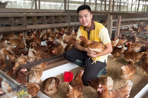egg singapore sem company|The Egg .